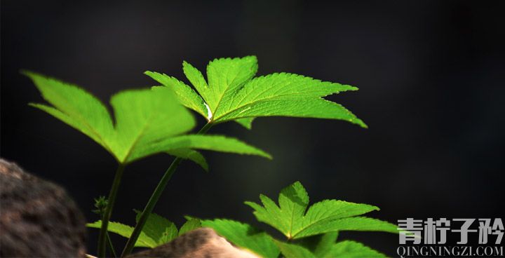 再活一次