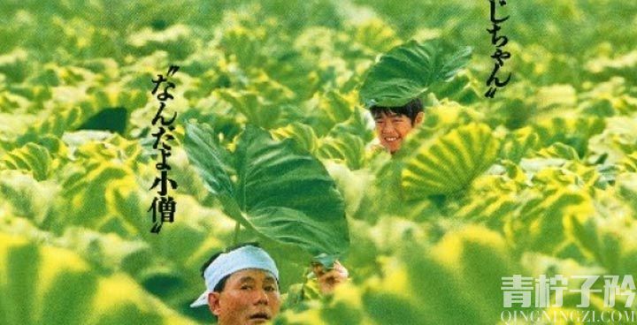 菊次郎的夏天